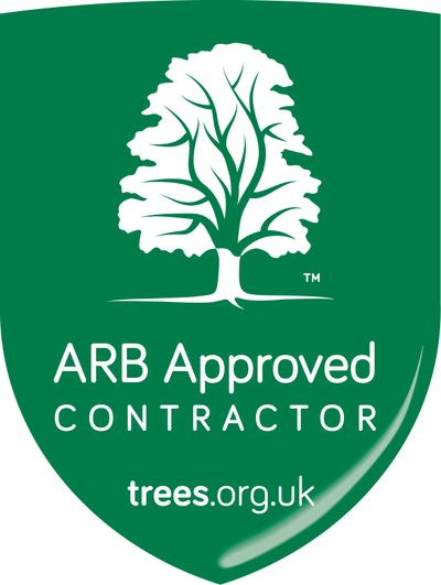 arb approved logo