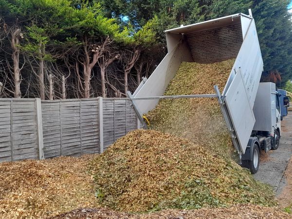 tree surgeon tipping off woodchip