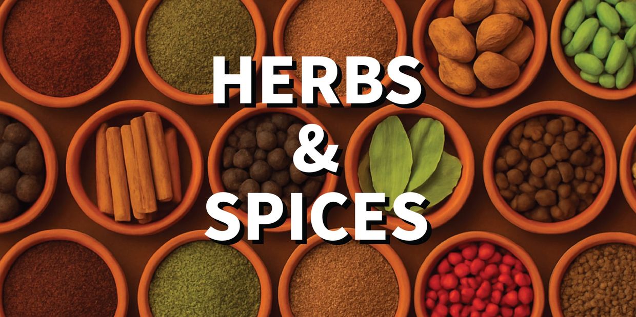 Various herbs and spices neatly arranged in small terracotta bowls.