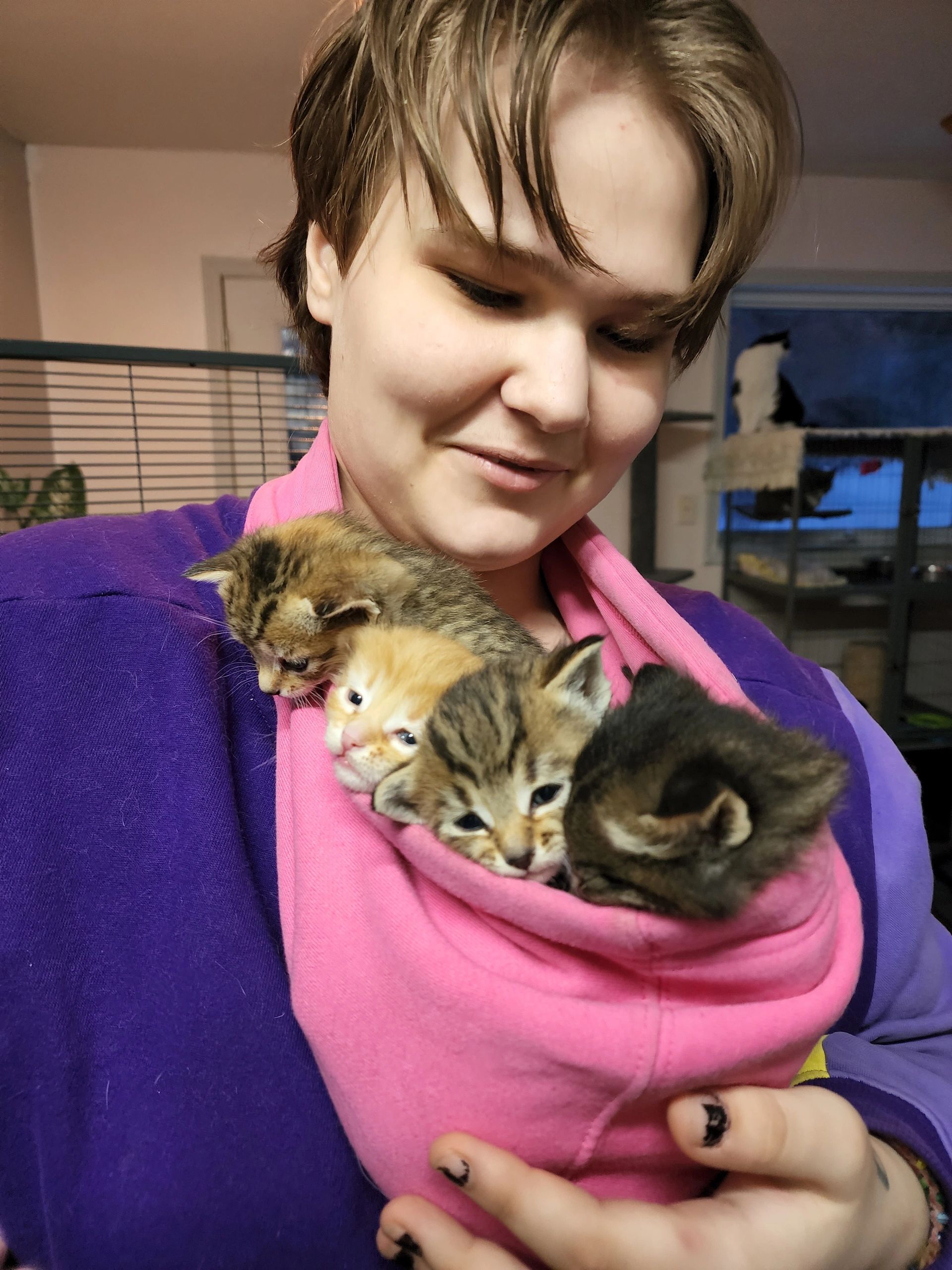 Findlay Ohio'S Cutest Adoptable Pets: Petfinder - ou77o81