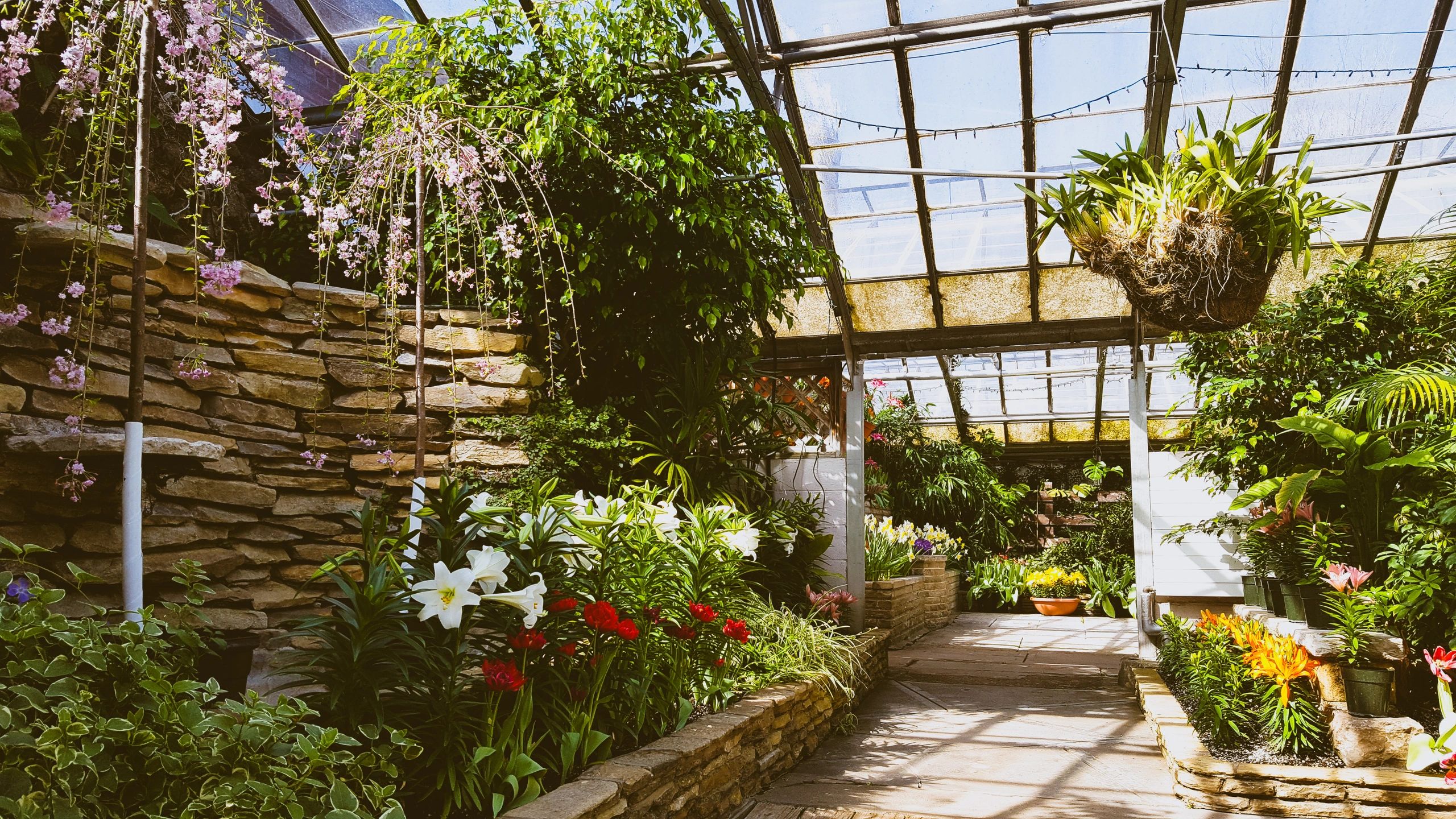 Members, Botanical Gardens, Join