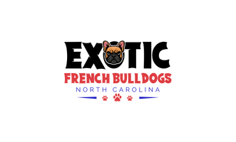 Exotic French
Bulldogs of 
North Carolina