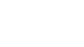 Disco Neil Consulting