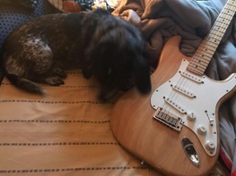 Guitars, Music, Book Reviews and Stuff, by RFC