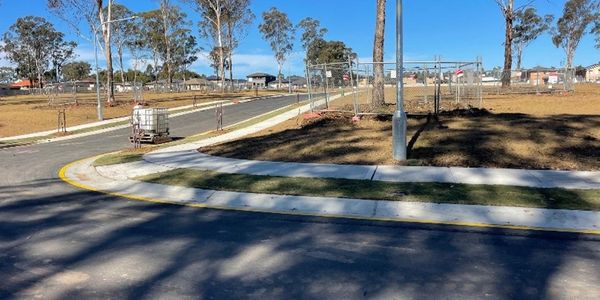 Empty paved pathways in a sunny park area with scattered trees.