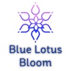 Blue Lotus Bloom