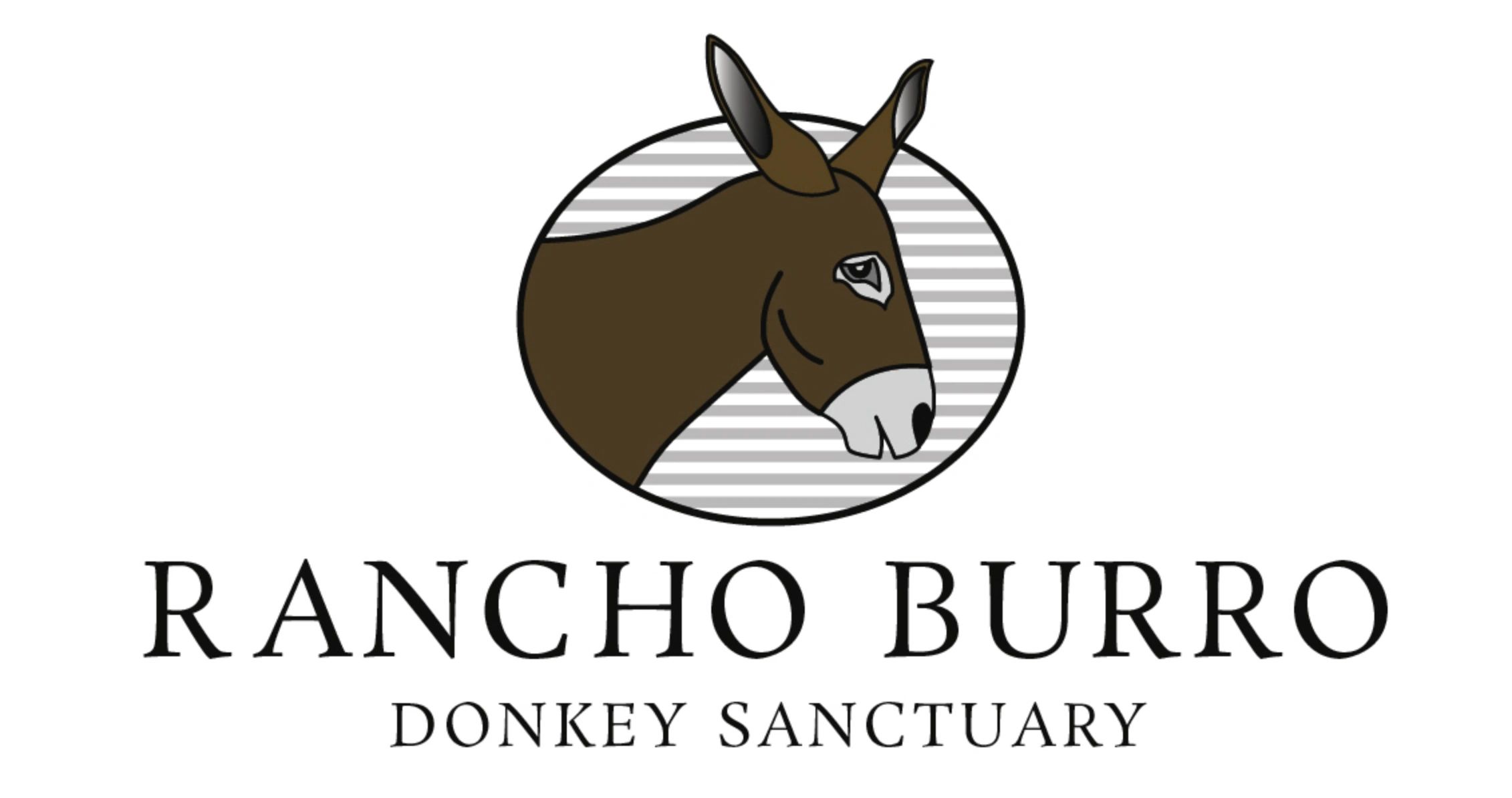 JOY BURRO SPRAY