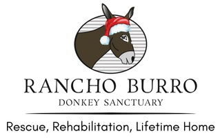Rancho Burro Donkey Sanctuary
