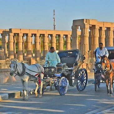 Horse-drawn carriages in front of ancient Egyptian columns.