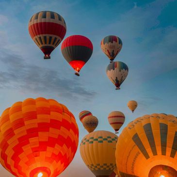 Colorful hot air balloons ascending into the early morning sky.