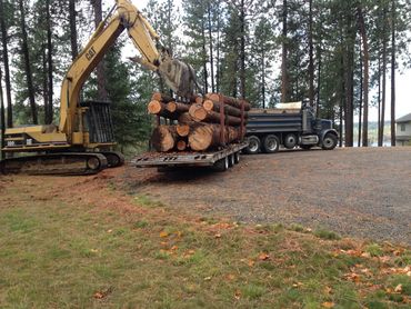 residential excavation - cut tree removal on trucks using excavator