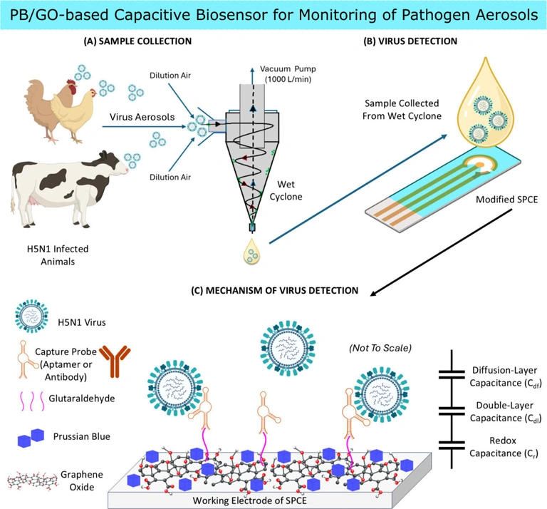 Portable BioSensor for Airborne Bird Flu Detection