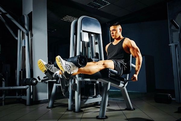 Ageless Fitness and Nutrition