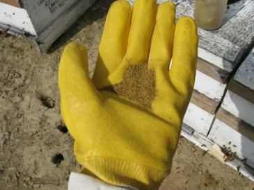 Pollen Application Service