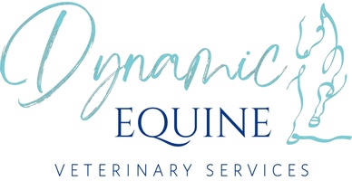 Dynamic Equine Veterinary Services