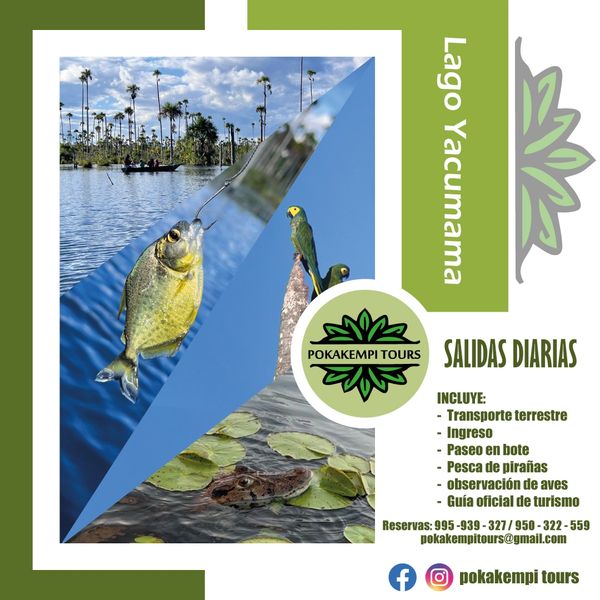 flyer de Pesca de Pirañas