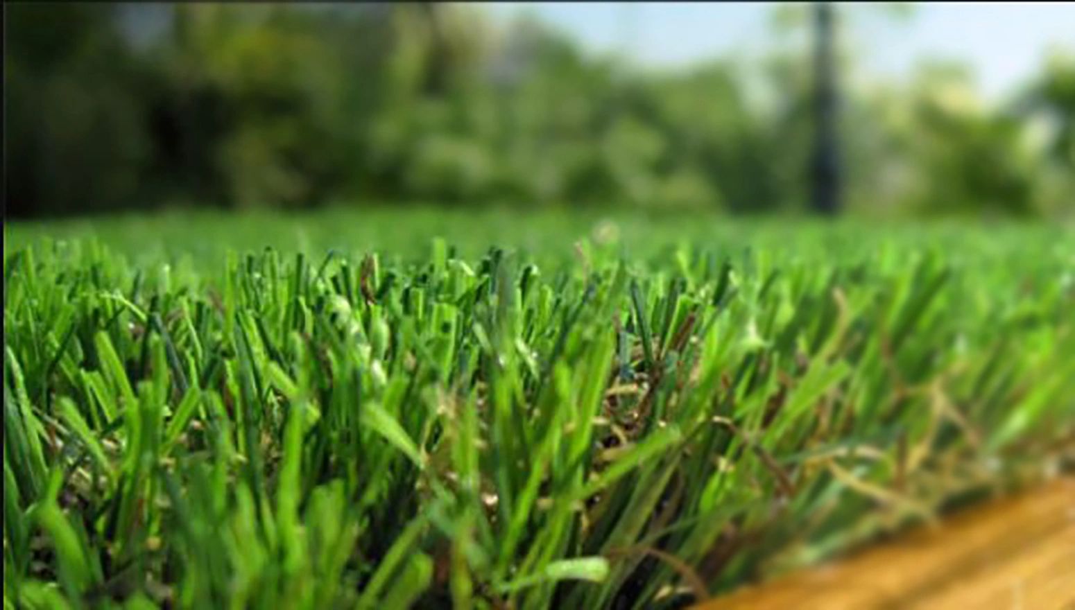 Synthetic Turf Solutions Turf Bothell, Washington