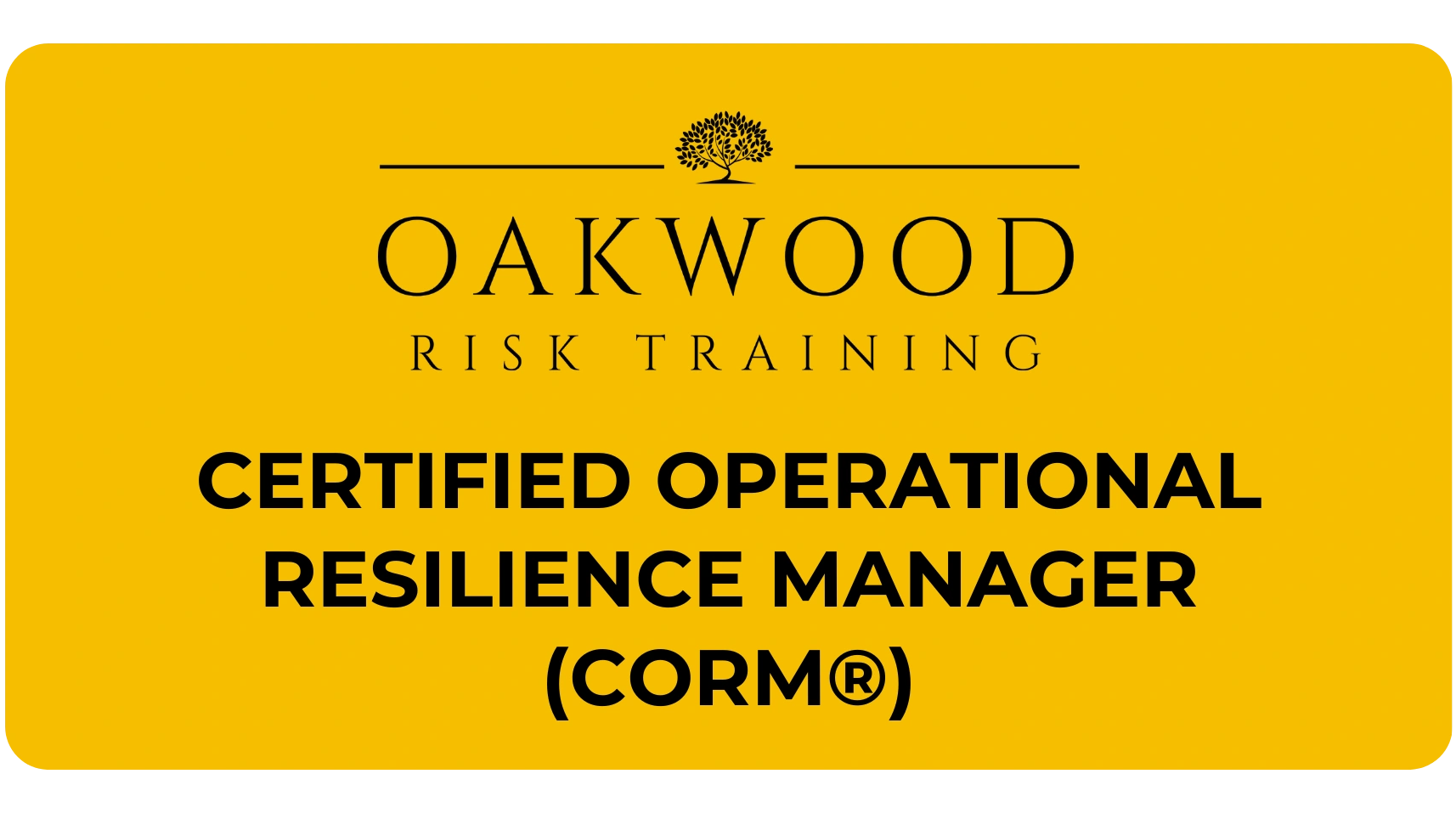Certified operational resilience training course. 