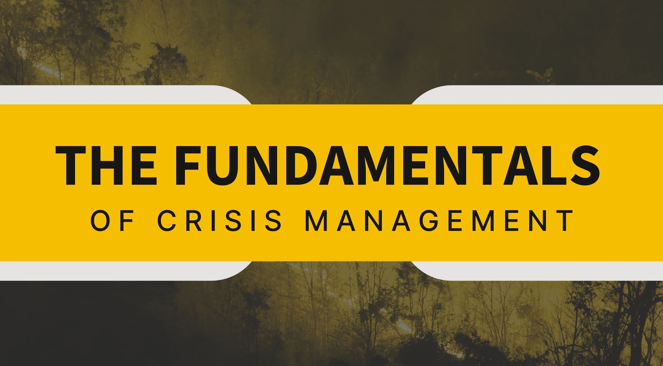 Distance learning and courses in operational resilience and crisis management. Oakwood Risk Training