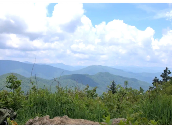 View from Black Balsam Mountain. 