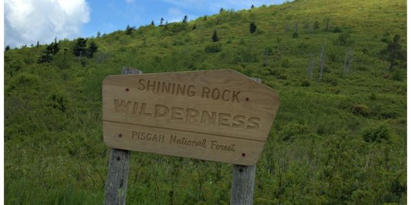 A sign that says Shining Rock Wilderness in Pisgah National Forest.