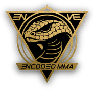 encodedmma.com