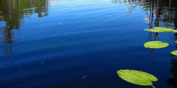 Clear, clean lake water