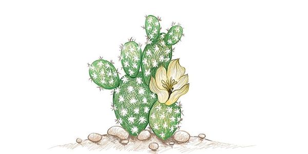 A drawing of a cactus with a flower on it.