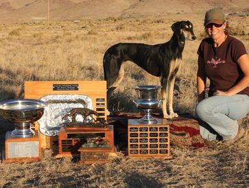 Woman with a Greyhound and several trophies outdoors.