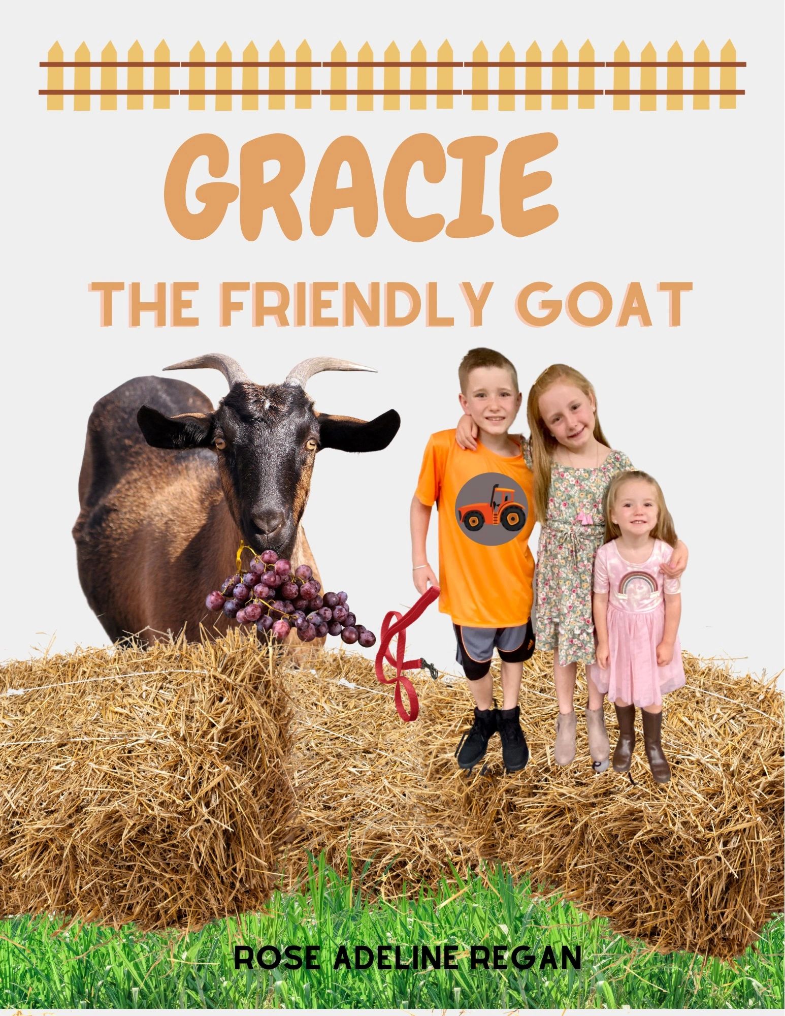 Gracie Parker: The Ultimate Power Play - mcxij7w