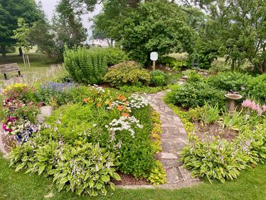 A lush garden with a brick pathway surrounded by various flowering plants and greenery.