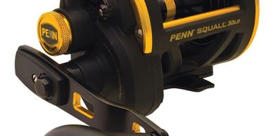 Penn Warfare WAR30LW – Refurbished – Anglers Paradise Reel Repair
