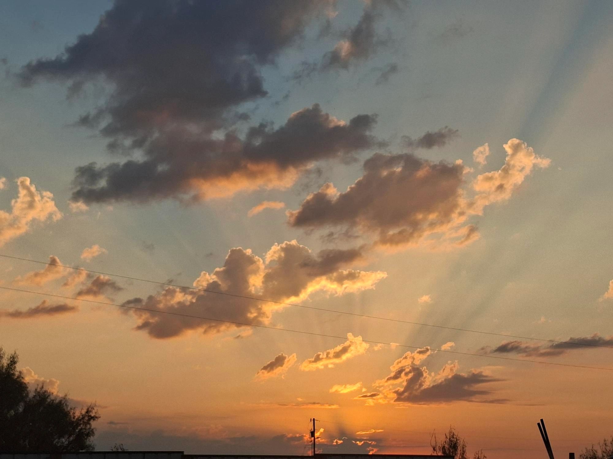 BBQ Capital RV Park photo 5