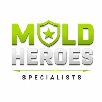 MOLD HEROES