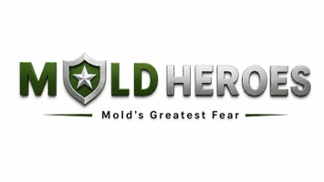MOLD HEROES