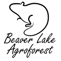 Beaver Lake Agroforest