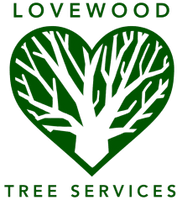Lovewood LLC