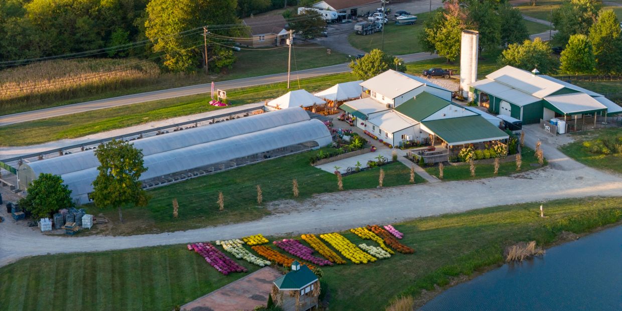Aerial view of a colorful flower farm with greenhouses and buildings.