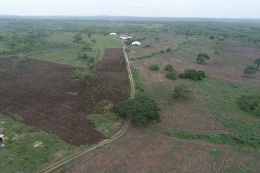 Aerial view of proposed Cashew plantation