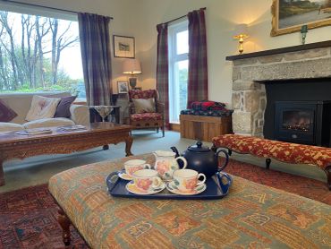 Cozy living room with a tea set and fireplace.