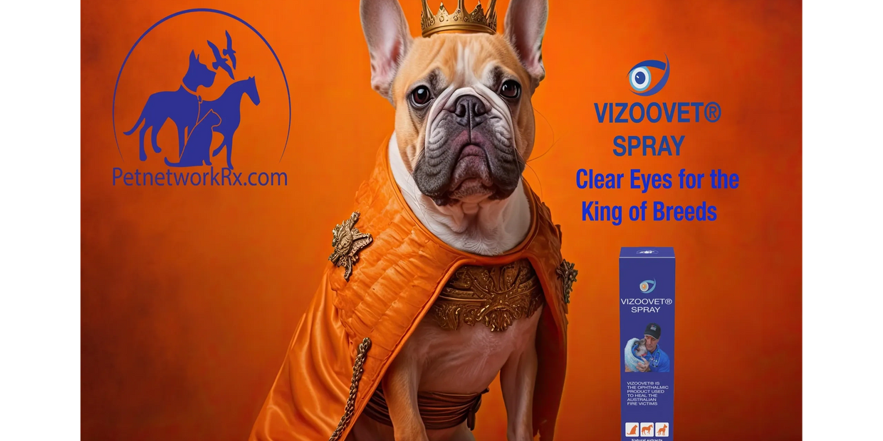 French Bulldogs are now the most popular breed. They are also