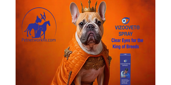 French Bulldogs are now the most popular breed. They are also