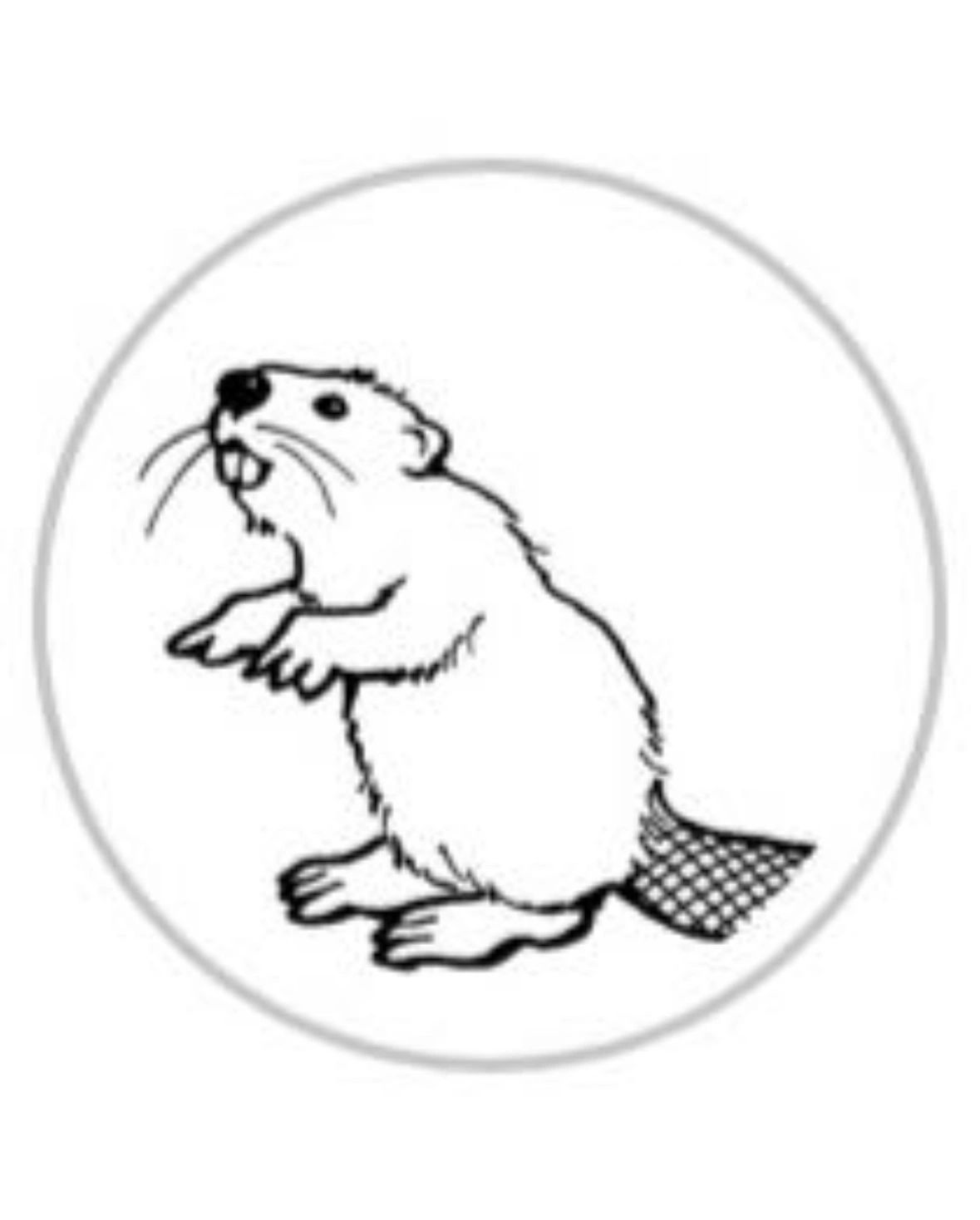 Term Dates 2025 2026 term-dates-2025-2026