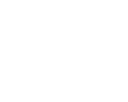 Ink Temple
Tattoo Studio