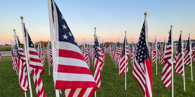 Field of American Flags at dusk. 
