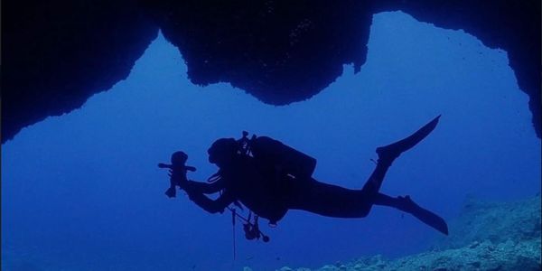 Explore the World From Below.