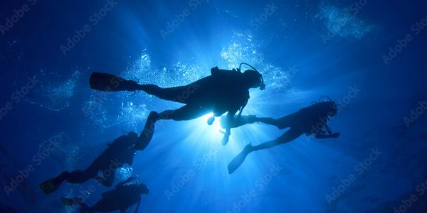 Group Travel Packages