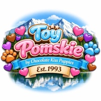 Toy Dachshund & Miniature Rat Terrier