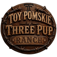 Toy Dachshund & Miniature Rat Terrier