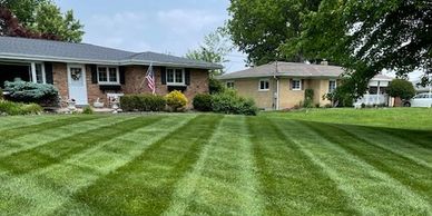 Lawn, Yard, Green Grass, Lawn Striping, Mowing